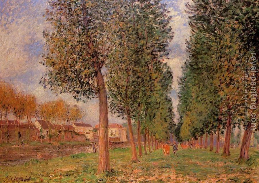 Alfred Sisley : Lane of Poplars at Moret, Cloudy Morning